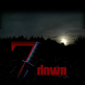 7 Down (2011) Starring Jason Ables on DVD