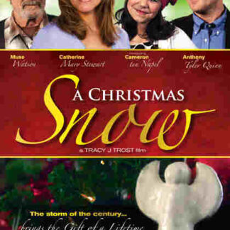 A Christmas Snow (2009) Starring Catherine Mary Stewart on DVD