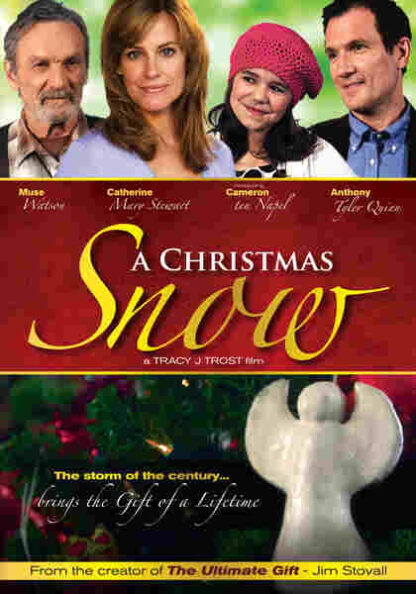 A Christmas Snow (2009) Starring Catherine Mary Stewart on DVD