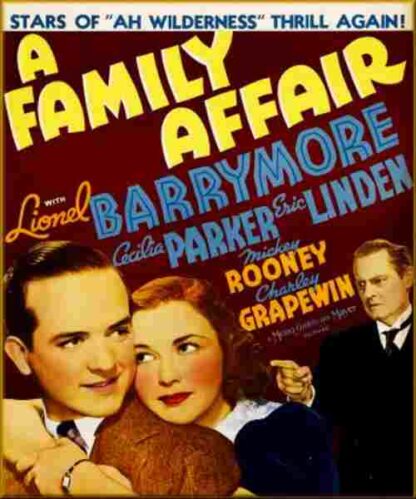 A Family Affair (1937) Starring Lionel Barrymore on DVD - Image 2