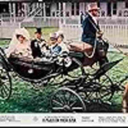 A Flea in Her Ear (1968) Starring Rex Harrison on DVD - Image 2