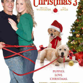 A Golden Christmas 3 (2012) Starring Shantel VanSanten on DVD