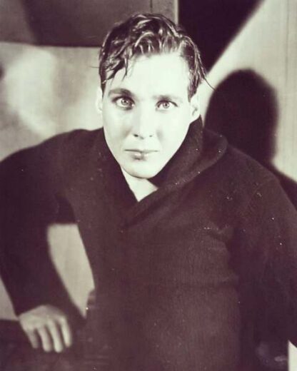 A House Divided (1931) Starring Walter Huston on DVD - Image 3