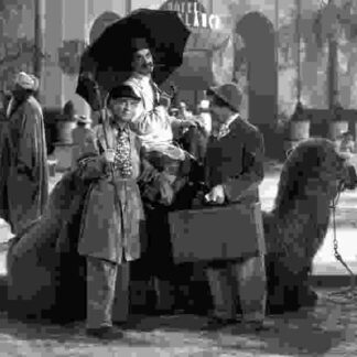 A Night in Casablanca (1946) Starring Groucho Marx on DVD