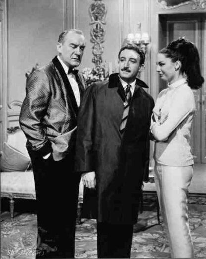 A Shot in the Dark (1964) Starring Peter Sellers on DVD - Image 3