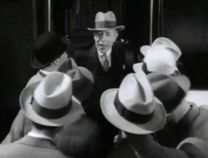 A Successful Calamity (1932) Starring George Arliss on DVD - Image 3