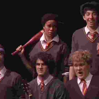 A Very Potter Sequel (2010) Starring Darren Criss on DVD