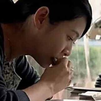A World Without Thieves (2004) with English Subtitles on DVD