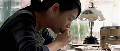 A World Without Thieves (2004) with English Subtitles on DVD