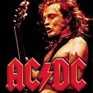 AC/DC: Live at Donington (1992) Starring AC/DC on DVD