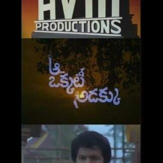 Aa Okkati Adakku (1993) with English Subtitles on DVD