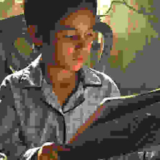 Abel (2010) with English Subtitles on DVD
