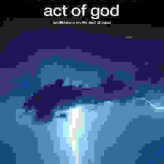 Act of God (2009) Starring Paul Auster on DVD
