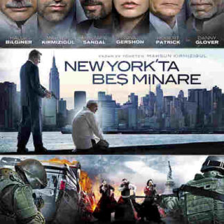 Act of Vengeance (2010) with English Subtitles on DVD
