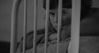 Adoption (1975) with English Subtitles on DVD - Image 3