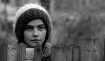 Adoption (1975) with English Subtitles on DVD - Image 4