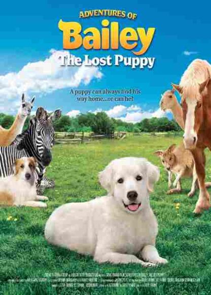 Adventures of Bailey: The Lost Puppy (2010) Starring Rick Shew on DVD
