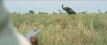Africa: Blood and Guts (1966) with English Subtitles on DVD - Image 4