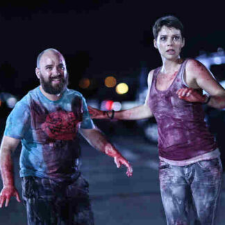Aftershock (2012) with English Subtitles on DVD