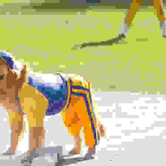 Air Bud: Seventh Inning Fetch (2002) Starring Jeffrey Ballard on DVD