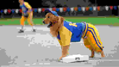 Air Bud: Seventh Inning Fetch (2002) Starring Jeffrey Ballard on DVD - Image 2