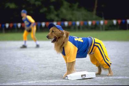 Air Bud: Seventh Inning Fetch (2002) Starring Jeffrey Ballard on DVD - Image 3
