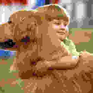 Air Bud: Spikes Back (2003) Starring Darren J. Birch on DVD