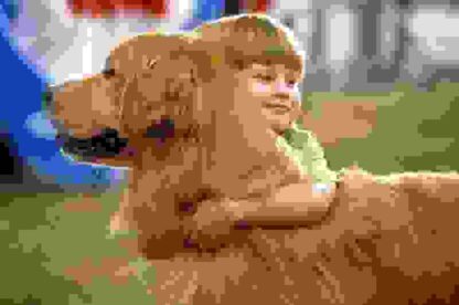 Air Bud: Spikes Back (2003) Starring Darren J. Birch on DVD