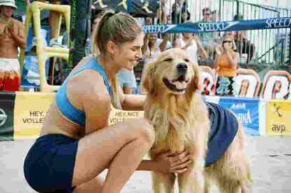 Air Bud: Spikes Back (2003) Starring Darren J. Birch on DVD - Image 2