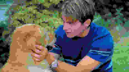 Air Bud: World Pup (2000) Starring Kevin Zegers on DVD