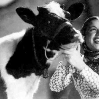 Aldeia da Roupa Branca (1939) with English Subtitles on DVD