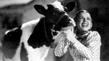 Aldeia da Roupa Branca (1939) with English Subtitles on DVD