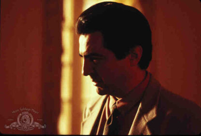 Alice (1990) Starring Joe Mantegna on DVD - Image 3