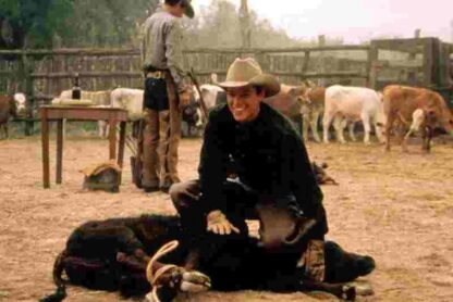 All the Pretty Horses (2000) Starring Matt Damon on DVD - Image 2