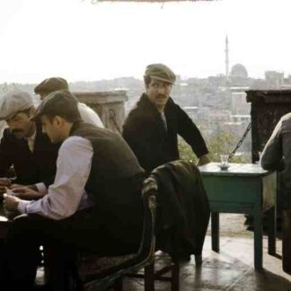 Almanya: Welcome to Germany (2011) with English Subtitles on DVD