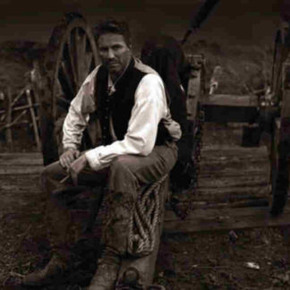 Ambrose Bierce: Civil War Stories (2006) Starring Campbell Scott on DVD