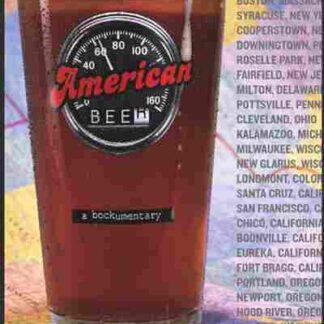 American Beer (2004) Starring Jeremy Goldberg on DVD