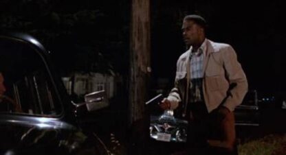 American Playhouse For Us the Living: The Medgar Evers Story (1983) Starring Howard E. Rollins Jr. on DVD - Image 4