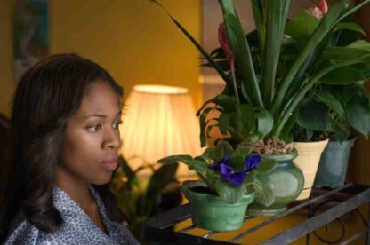 American Violet (2008) Starring Nicole Beharie on DVD - Image 2