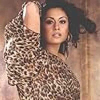 Americanizing Shelley (2007) Starring Namrata Singh Gujral on DVD - Image 2