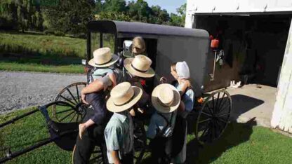 Amish: A Secret Life (2012) Starring Michael Alan Collette on DVD - Image 2