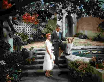 An Affair to Remember (1957) Starring Cary Grant on DVD - Image 3