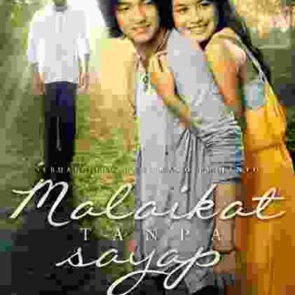 An Angel Without Wings (2012) with English Subtitles on DVD