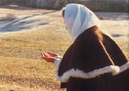 Ana (1982) with English Subtitles on DVD - Image 2