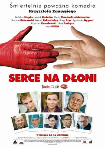 And a Warm Heart (2008) with English Subtitles on DVD - Image 3