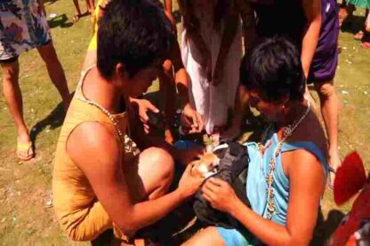 Ang damgo ni Eleuteria (2010) with English Subtitles on DVD - Image 2