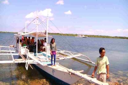 Ang damgo ni Eleuteria (2010) with English Subtitles on DVD - Image 3