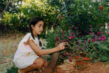 Anjar: Flowers, Goats and Heroes (2009) Starring  on DVD - Image 2