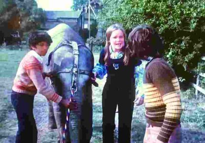 Anoop and the Elephant (1972) Starring Anoop Singh on DVD