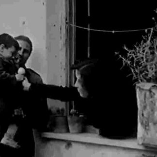 Appunti su un fatto di cronaca (1953) with English Subtitles on DVD